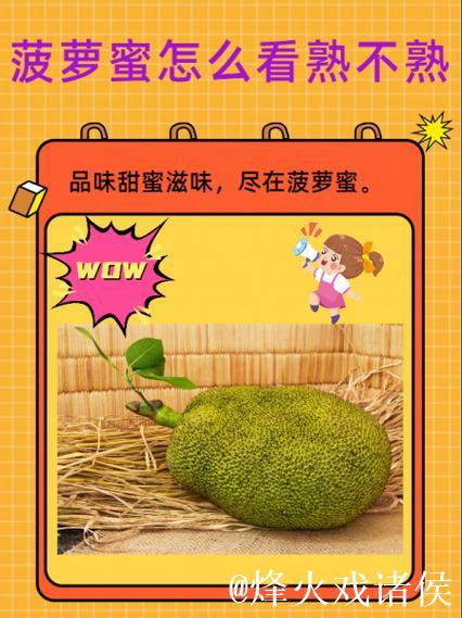 菠萝蜜视频软件免费看精选内容